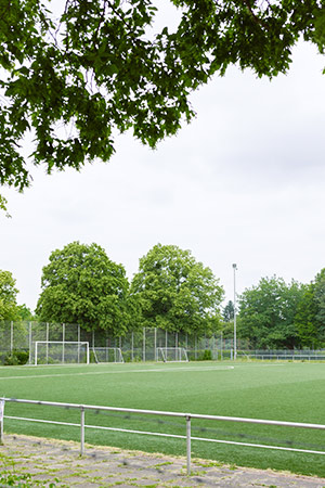 Kunstrasenplatz in Afferde